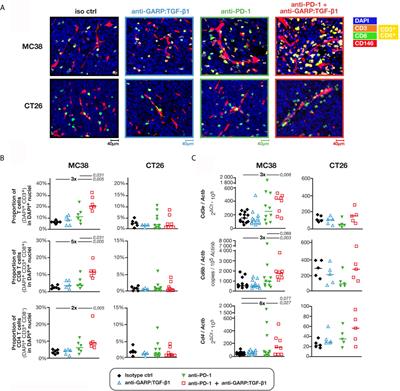 Combined Blockade of GARP:TGF-β1 and PD-1 Increases Infiltration of T Cells and Density of Pericyte-Covered GARP+ Blood Vessels in Mouse MC38 Tumors